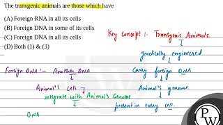 The transgenic animals are those which have [upl. by Arabeila698]