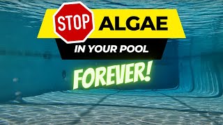 Never See Algae in Your Pool Again [upl. by Akemet31]