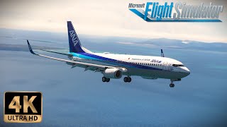 Flight Simulator  2024 RTX™ 4070 Ti Super  4K ULTRA GRAPHICS  🇯🇵Ishigaki Island🇯🇵  PMDG 737800 [upl. by Eseeryt]