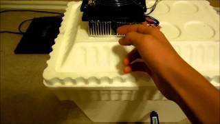 DIY Thermoelectric Peltier Mini Fridge [upl. by Zollie]