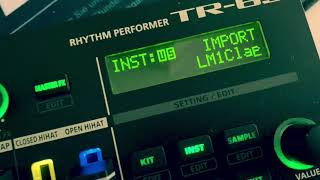 Roland TR6s testing the sample Option [upl. by Ibbed]