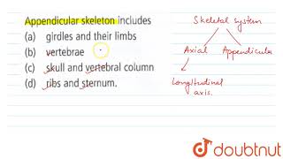 Appendicular skeleton includes  11  LOCOMOTION AND MOVEMENT  BIOLOGY  NCERT FINGERTIPS  Do [upl. by Eneleuqcaj715]