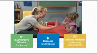 Discrete Trial Teaching  Autism Therapy Video [upl. by Disharoon153]