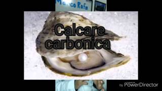 Calcarea carbonica homeopatia [upl. by Irrep770]