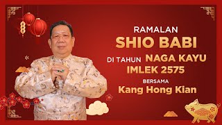 Ramalan Shio Babi di Tahun Naga Kayu 2024 Bersama Kang Hong Kian  Sonora Fengshui [upl. by Laumas171]