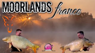 MOORLANDS FISHERY FRANCE CARP FISHING in session amp guide to Moorlands [upl. by Nyasuh]