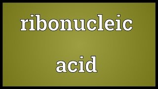 Ribonucleic acid Meaning [upl. by Ainadi]