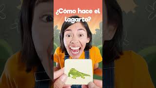 🦎 menique leon lagarto lobo videosgraciosos 123andres alfabeto aprendeespañolonline [upl. by Koch]