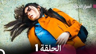 أسرار الحياة الحلقة 1 Arabic Dubbed [upl. by Anette634]