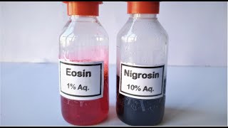 Eosin Nigrosin Stain preparation [upl. by Neukam]