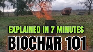 EVERYTHING YOU ever WANTED to KNOW about BIOCHAR 🔥 [upl. by Perrin]