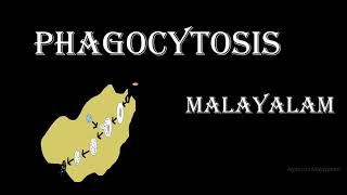 PHAGOCYTOSIS IN MALAYALAM [upl. by Stefan]