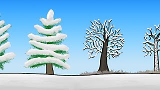 How do Trees Survive Winter [upl. by Deenya]