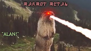 quotALANquot Groundhog  Marmot Metal Remix [upl. by Erret]