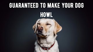 Guaranteed To Make Your Dog Howl [upl. by Moira992]