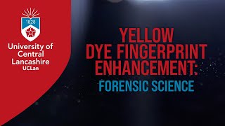 Yellow Dye Fingerprint Enhancement Forensic Science [upl. by Maitilde]