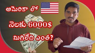 USA 6K Salary  Expenses  usa telugu teluguvlogs usateluguvlogs [upl. by Fabrianna]