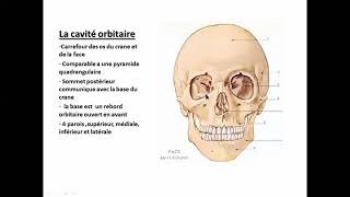 🔴Anatomie de la vision [upl. by Anahir598]