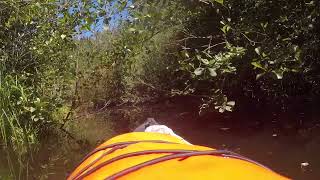 Kayak sul Lago di Viverone [upl. by Jonis]