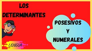 Los DETERMINANTES POSESIVOS Y NUMERALES [upl. by Eurydice983]