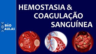 Hemostasia e Coagulação Sanguínea Atuação das Plaquetas e a Cascata de Coagulação [upl. by Ihel]