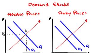 Macro  Shortrun Economic Fluctuations [upl. by Quincy]