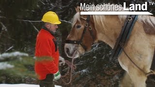 Jahresbeginn im Osnabrücker Land  die schönsten Höfe Norddeutschlands NDR [upl. by Airdnahc]