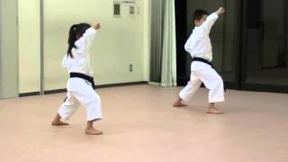 Heian Shodan [upl. by Andriette]