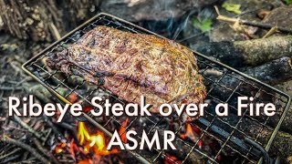 RIBEYE STEAK over a Campfire ASMR with the Bed Roll Cook Set Dave Canterbury [upl. by Jany]