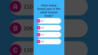 How many bones are in the adult human body [upl. by Vipul]