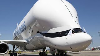 Airbus beluga XL is super hungy [upl. by Leemaj403]