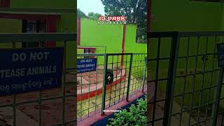 I G Park  Rourkela  🤗 viral treanding shortsfeed shorts youtubeshorts rourkela igpark [upl. by Manville]