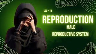 male reproductive system  male reproductive system class 12  male reproductivesystem [upl. by Llenyaj]