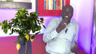 Ndiarignou Garabou Limon  Les vertus du Citronnier  Pr Ousmane Ndiaye  SAMA XALAAT TV [upl. by Crelin]