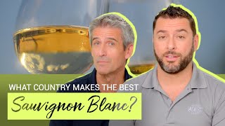 What Country Makes the Best Sauvignon Blanc [upl. by Ahseet]