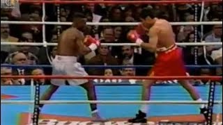 Oscar De La Hoya vs Pernell Sweet Pea Whitaker [upl. by Rumery361]