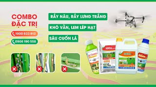 THÁI BÌNH QUYẾT LIỆT ĐẨY MẠNH PHÒNG TRỪ SÂU BỆNH HẠI TRÊN LÚA XUÂN [upl. by Llemert610]