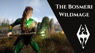 Skyrim Build Gameplay  The Bosmeri Wildmage [upl. by Nauqat]