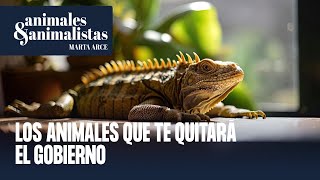 El listado de las mascotas que te quitará el Gobierno con la ley animalista [upl. by Presber]