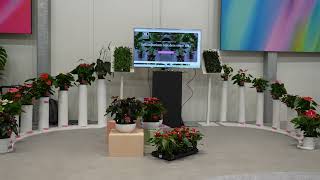 KP Holland FlowerTrials 2023 aftermovie [upl. by Folberth373]