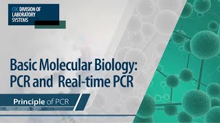 Basic Molecular Biology PCR and RealTime PCR – Principle of PCR [upl. by Anelas]