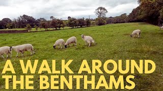 44 A Walk Around the Benthams  Riverside Caravan Park [upl. by Arny]