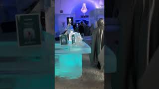 Ice Bar at Ice Hotel Sweden [upl. by Soilisav]