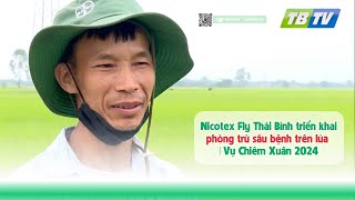 Nicotex Fly Thái Bình triển khai phòng trừ sâu bệnh trên lúa  Vụ Chiêm Xuân 2024 [upl. by Faubion926]