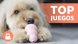 TOP 8 Mejores JUGUETES para PERROS 🥏🐕 ¡Descúbrelos [upl. by Laban92]