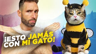 7 COSAS que NO VOY A HACER CON MI GATO ALCACHOFO 🙅‍♂️🚫🐯 Y por qué [upl. by Atina]