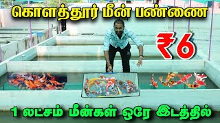 எல்லாமே ஒரே இடத்தில் வாங்கலாம்  ₹6 முதல் Payasam Channel [upl. by Neile]