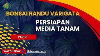 BONSAI RANDU VARIGATA  Persiapan Media Tanam part 1 [upl. by Faludi]