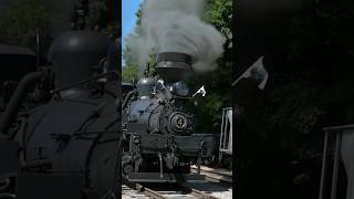 🚂 Shay 4  Cass Scenic Railroad quotParade Of Steamquot 🚂🚂🚂🚂 [upl. by Johnna]