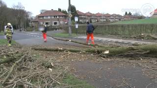 Een boom komt in Arnhem op trolleylijn terecht [upl. by Ahsenwahs666]